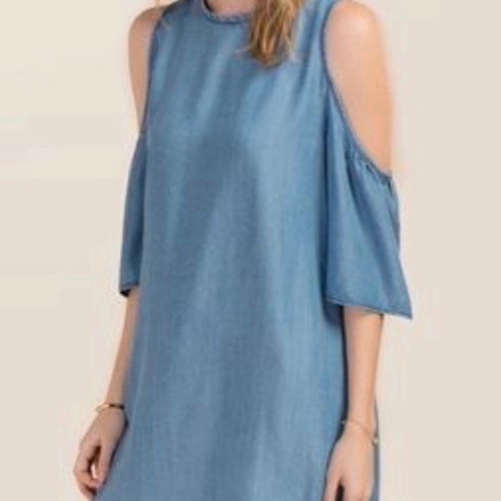 Francesca’s Blue Rain Dress